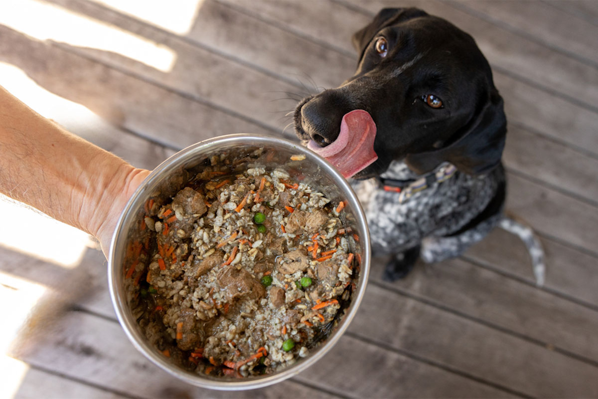 Planet A Pet Food launches with meat-free dog food offering